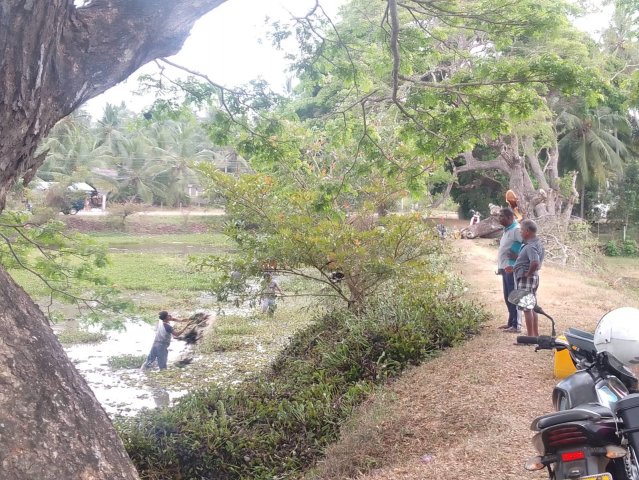 ග්‍රාමීය පුනර්ජීවන කමිටු